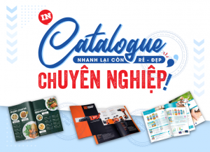 In Catalogue Gia Re TPHCM