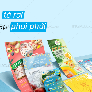 in to roi gia re tphcm