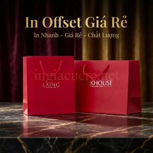 in tui giay gia re