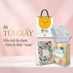 in tui giay gia re tphcm